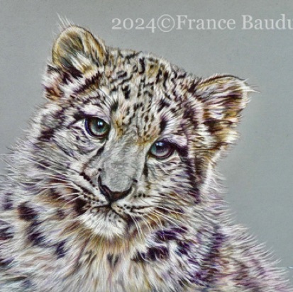 Snow Leopard cub2 - 21.5 hours
Blue Pastelmat
9.5" x 13"
Ref: My own photo Snow Leopard cub2 - 21.5 hours
Blue Pastelmat
9.5" x 13"
Ref: My own photo